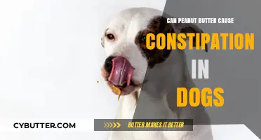 Exploring the Link: Peanut Butter and Constipation in Dogs