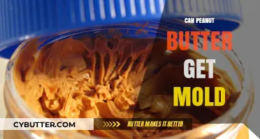 Can Peanut Butter Mold? Understanding Shelf Life and Storage Tips