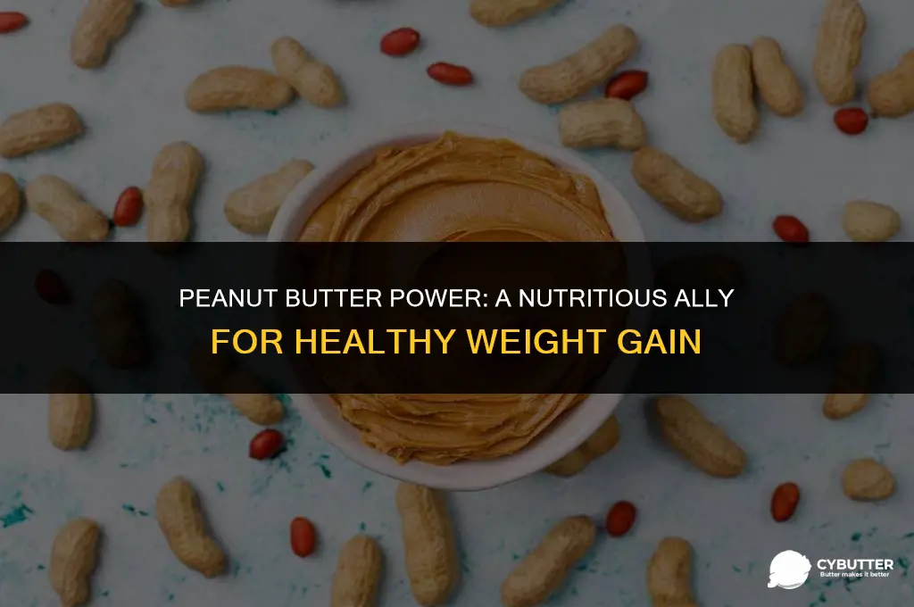 can peanut butter help gain weight