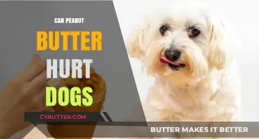 The Surprising Truth About Peanut Butter and Dogs: A Complete Guide