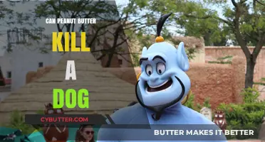 The Truth About Peanut Butter: Is It Safe for Your Dog?