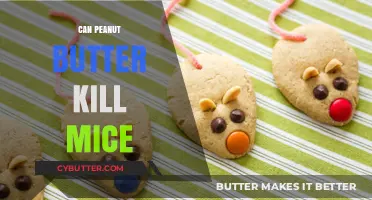 The Lethal Truth: Can Peanut Butter Really Kill Mice?