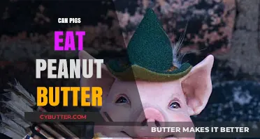 Exploring Pig Diets: Is Peanut Butter a Safe Treat?