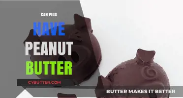 Indulging Swine: The Surprising Truth About Pigs and Peanut Butter