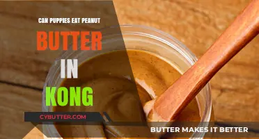 Peanut Butter in Kongs: A Safe Treat for Puppies?