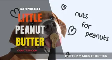 Can Puppies Safely Enjoy Peanut Butter? A Tasty Treat Guide