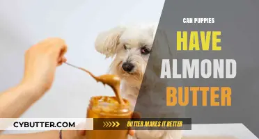 Can Puppies Enjoy Almond Butter? A Nutty Debate Unpacked