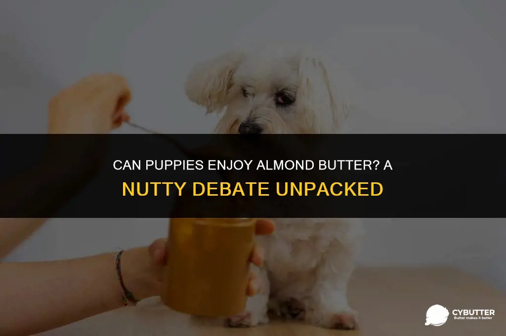 can puppies have almond butter
