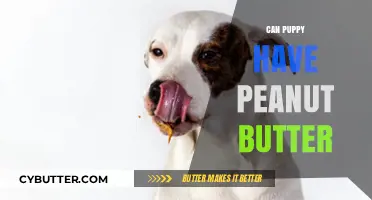 Peanut Butter for Puppies: A Tasty Treat or a No-No?