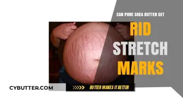 Can Pure Shea Butter Effectively Fade Stretch Marks? Find Out Here