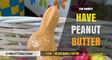 Peanut Butter for Bunnies: A Nutty Treat or a No-Go?