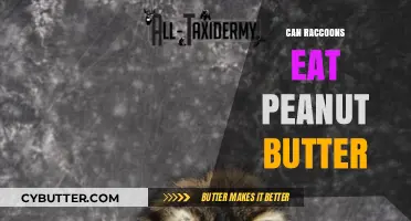 Peanut Butter: A Tasty Treat for Raccoons or a Risky Indulgence?