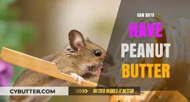 Peanut Butter for Rats: A Nutritious Treat or a Health Hazard?