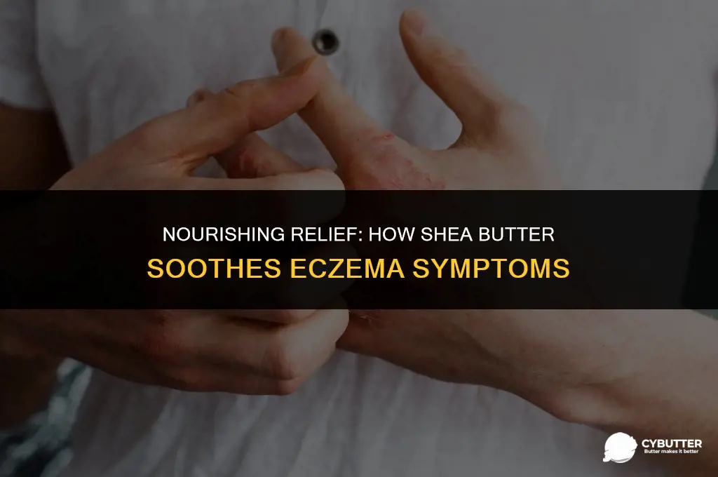 can shea butter help eczema