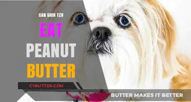 Peanut Butter for Shih Tzus: A Nutritious Treat or a No-No?