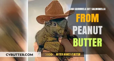 Can Squirrels Catch Salmonella from Peanut Butter? Facts Revealed