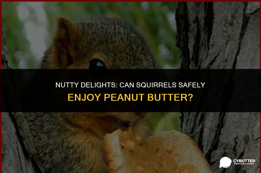 can squirrels have peanut butter