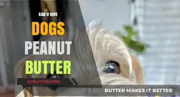 Peanut Butter for Dogs: A Tasty Treat or a Health Hazard?