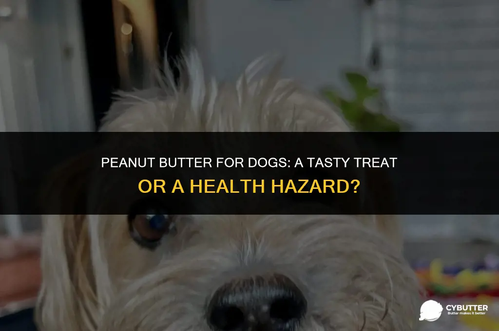can u give dogs peanut butter