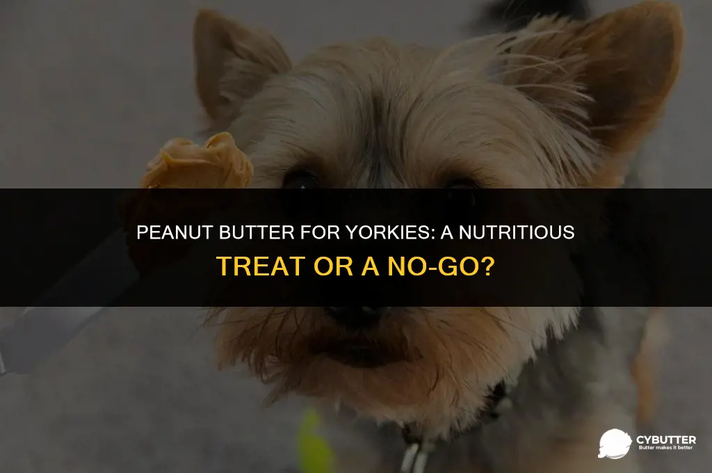 can yorkies eat peanut butter