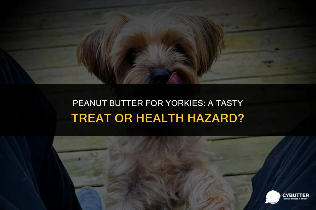 can yorkies have peanut butter