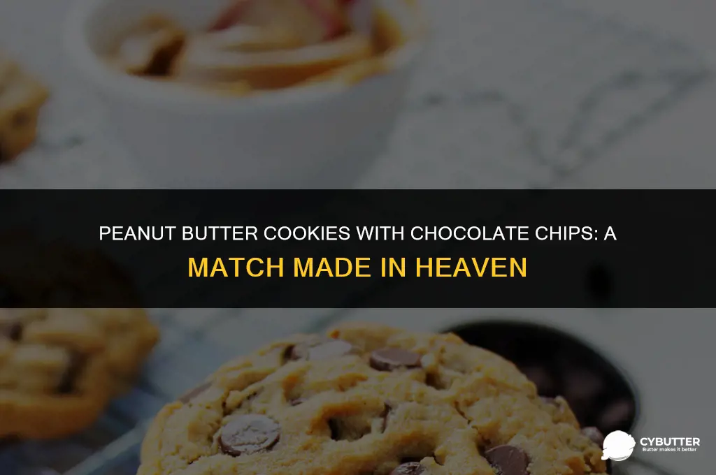 can you add chocolate chips to peanut butter cookies