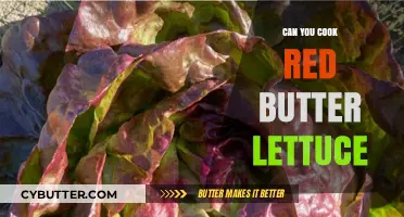 Savor the Flavor: Cooking Red Butter Lettuce to Perfection