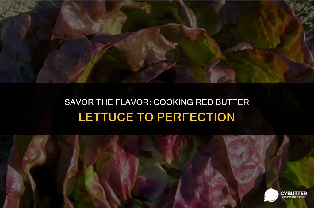 can you cook red butter lettuce