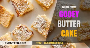 Sweet Success: Mastering the Art of Freezing Gooey Butter Cake