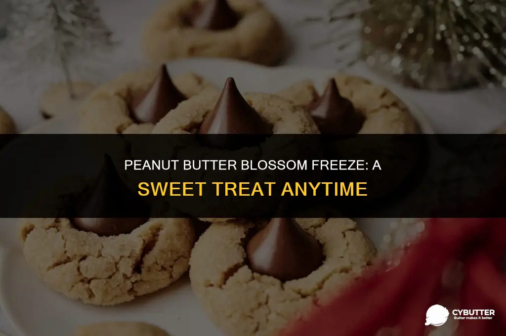 can you freeze peanut butter blossoms