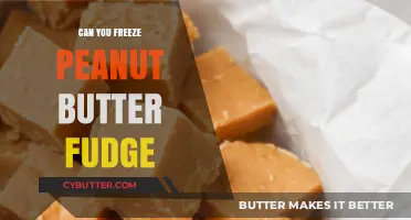 Sweet Treats: The Ultimate Guide to Freezing Peanut Butter Fudge