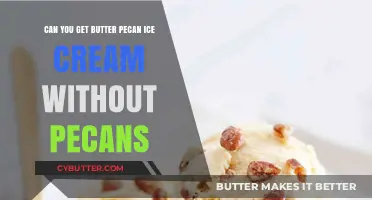 Butter Pecan Ice Cream Without Pecans: Is It Possible?