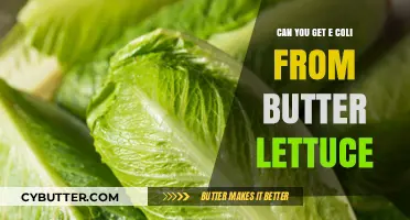 Can Butter Lettuce Cause E. Coli Infections? Facts and Risks