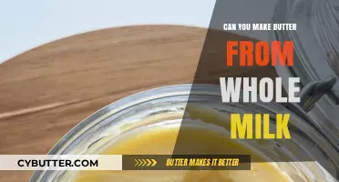 From Milk to Butter: A Simple Guide to Homemade Dairy Delight