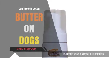Can Cocoa Butter Be Safely Used on Dogs?