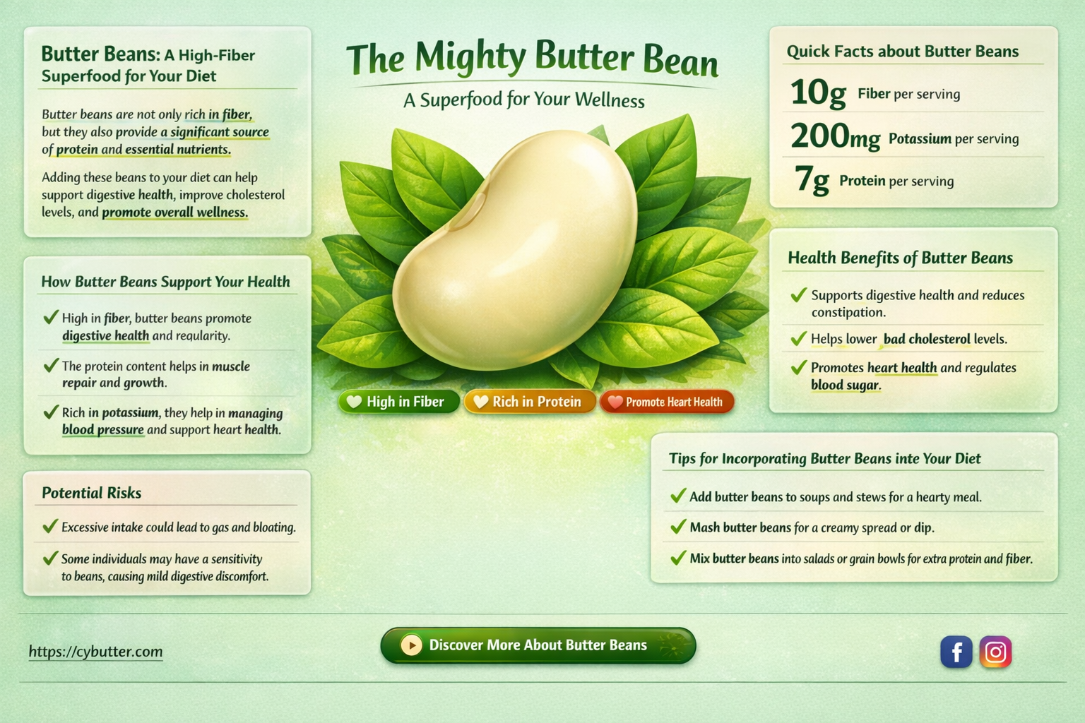 are butter beans a good source of fiber