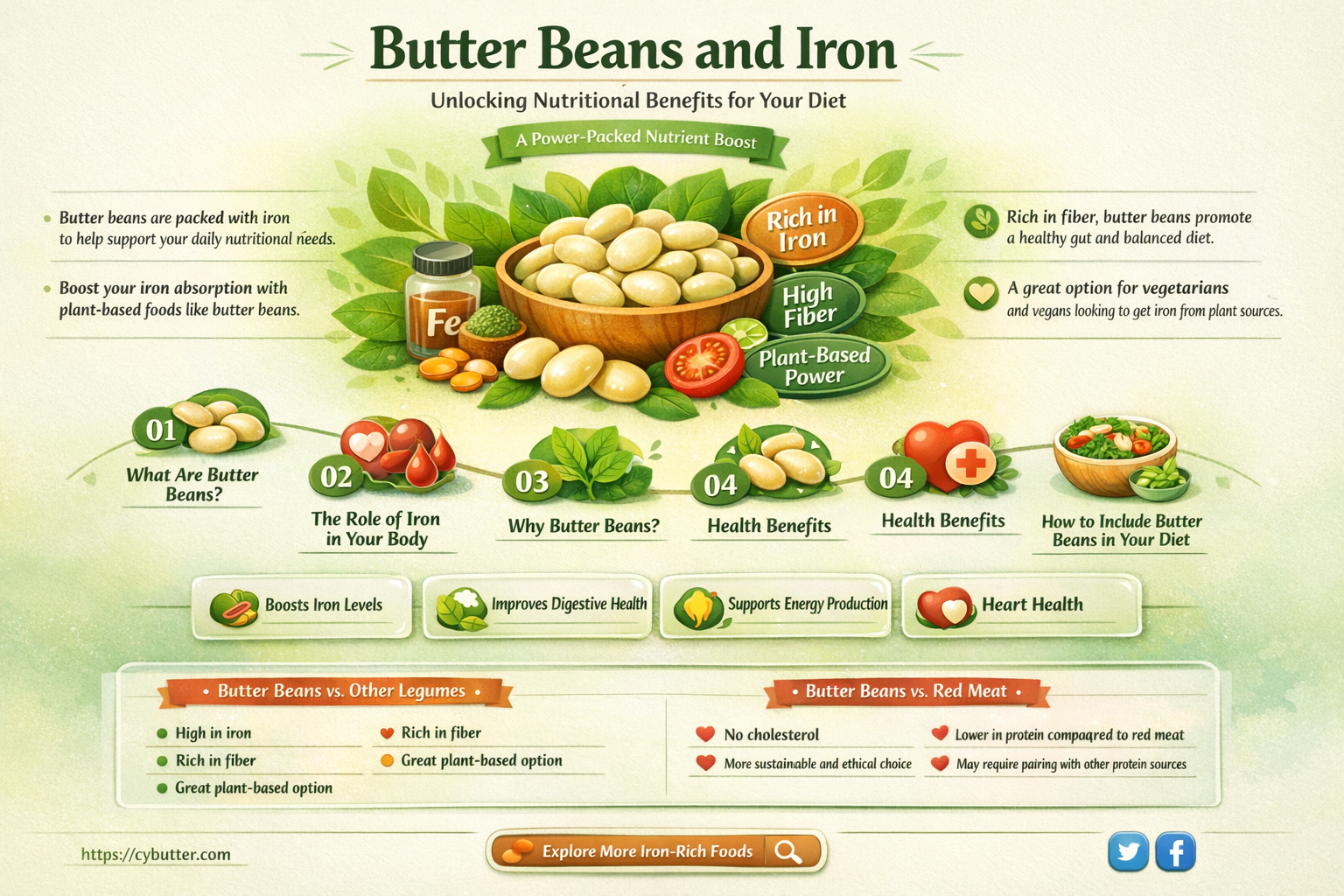 are butter beans a good source of iron