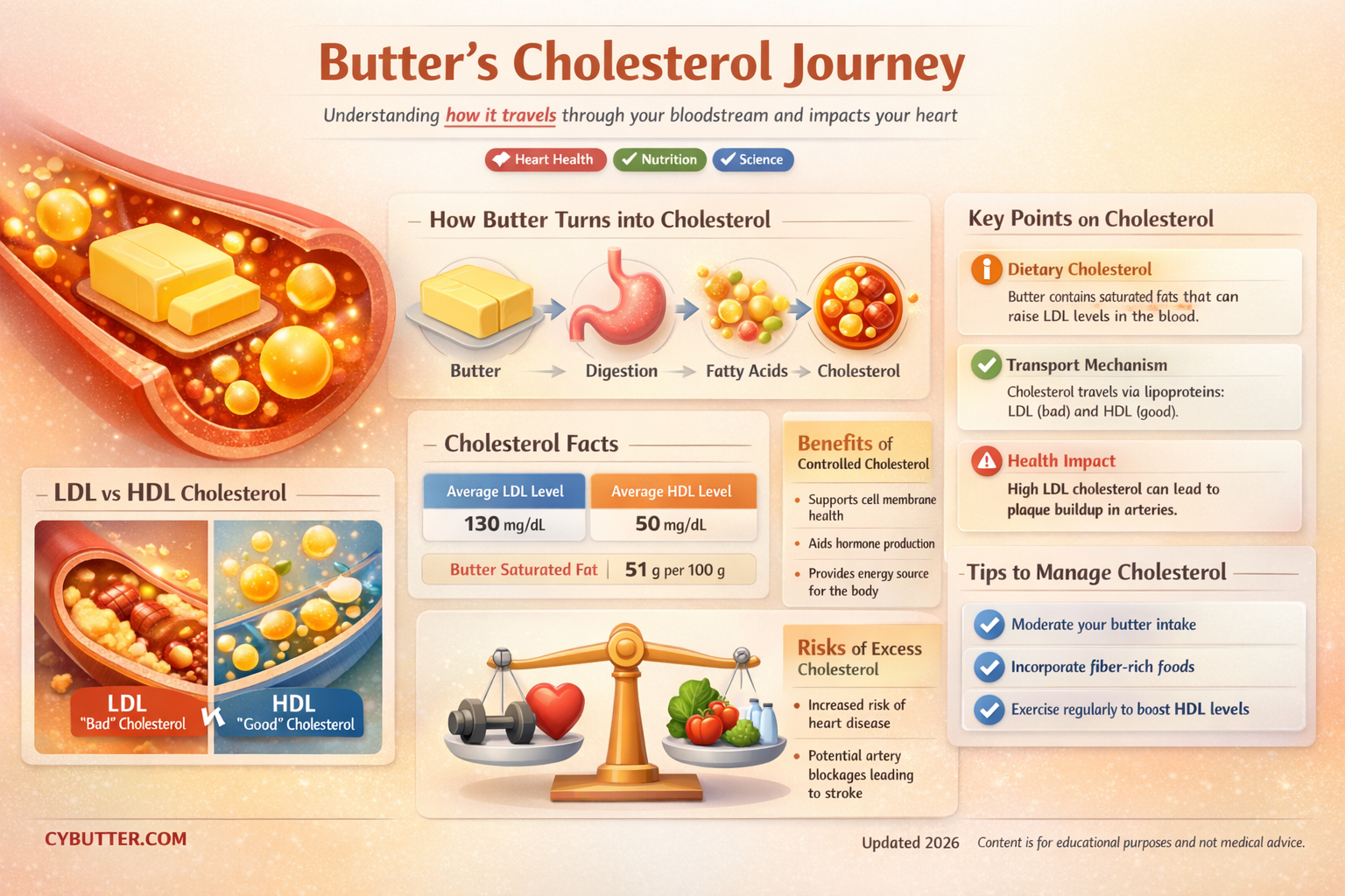 how cholesterol from butter gets in your blood