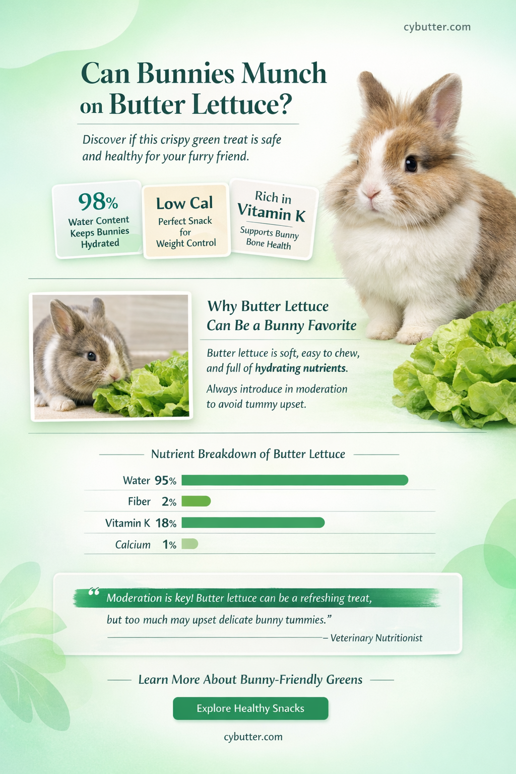 can bunnies eat butter lettuce