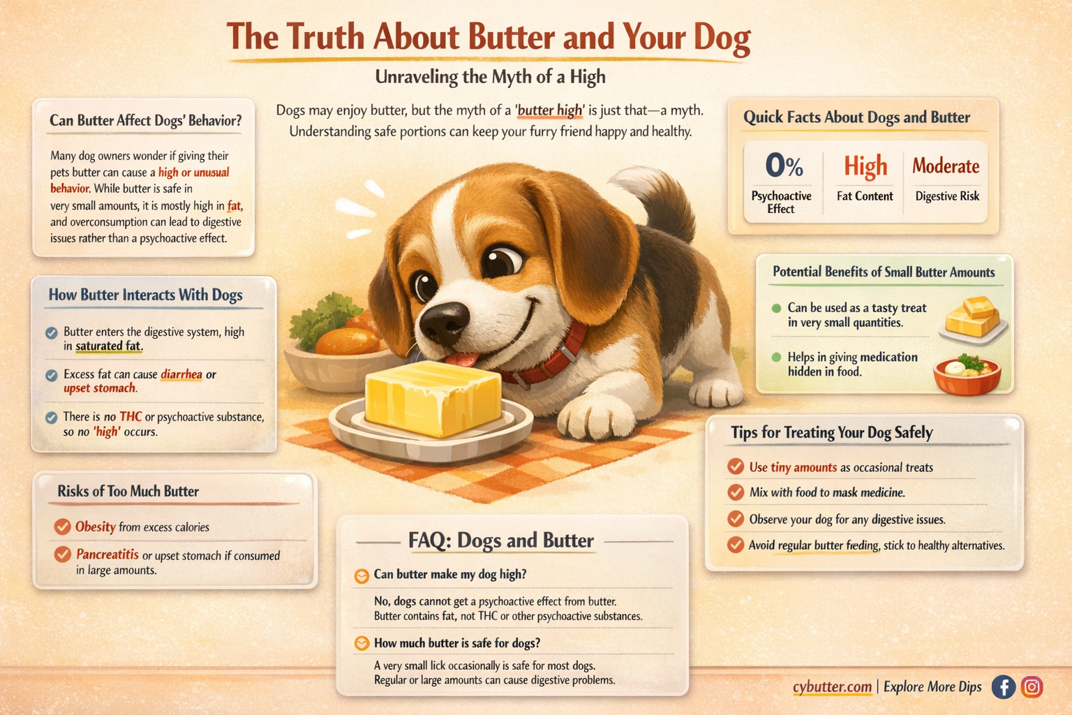 does butter get dogs high