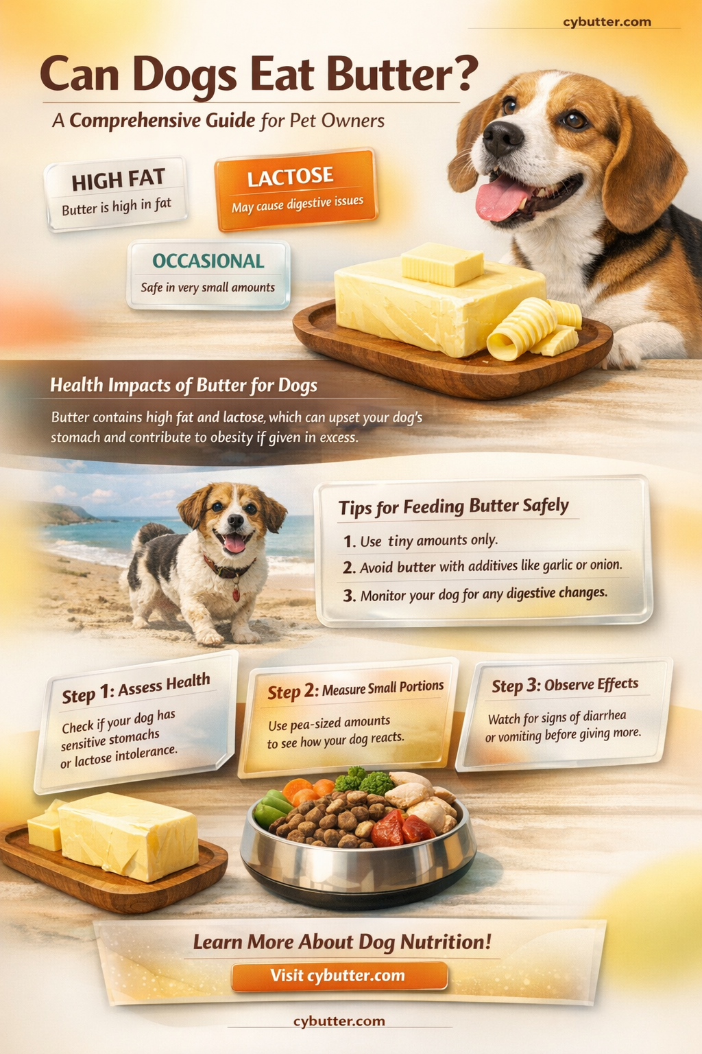 can dogs eat butter