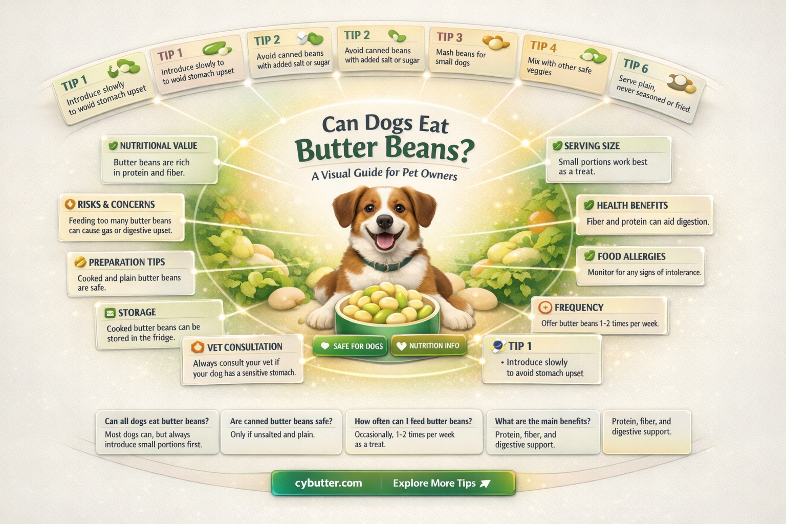 can dogs eat butter beans
