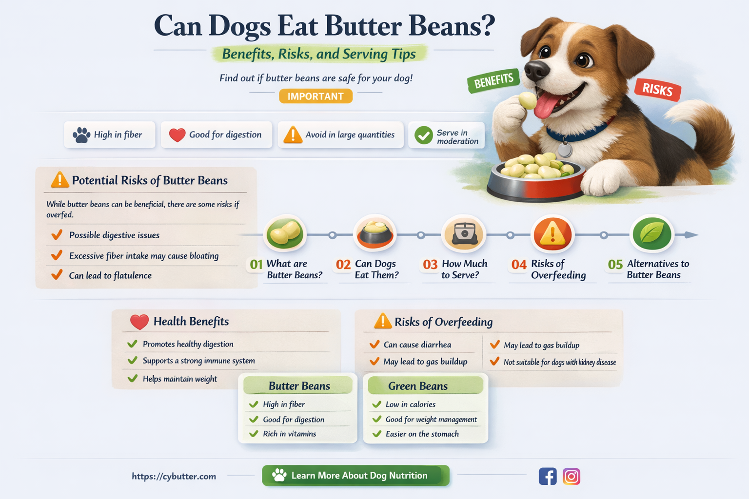 are butter beans good for dogs
