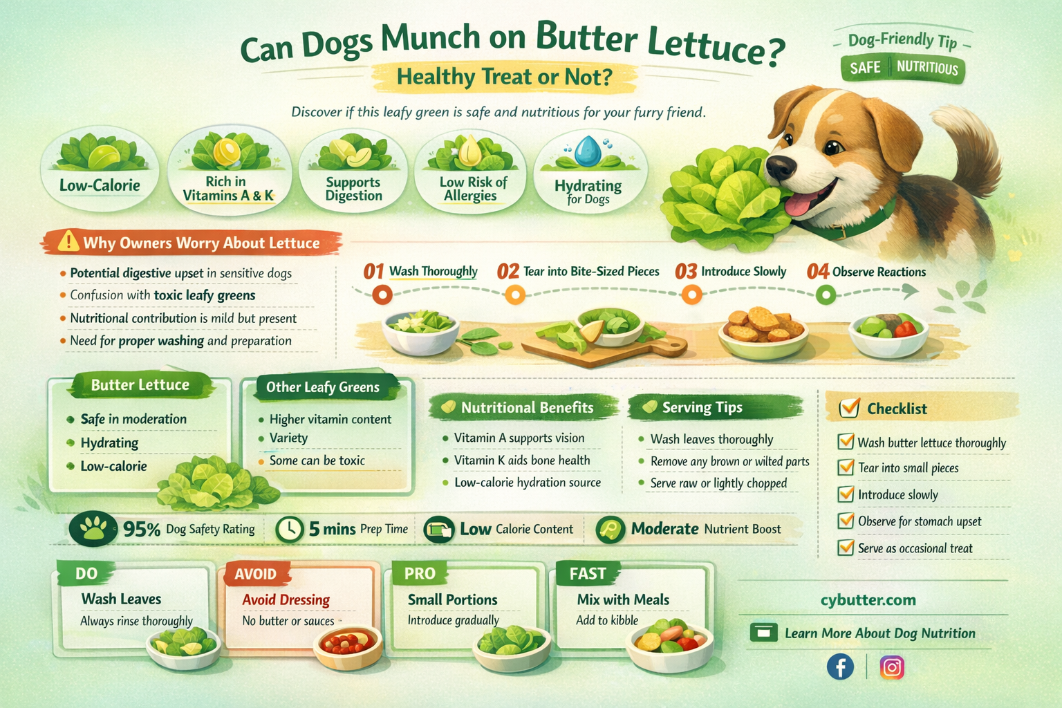 can dogs eat butter lettuce
