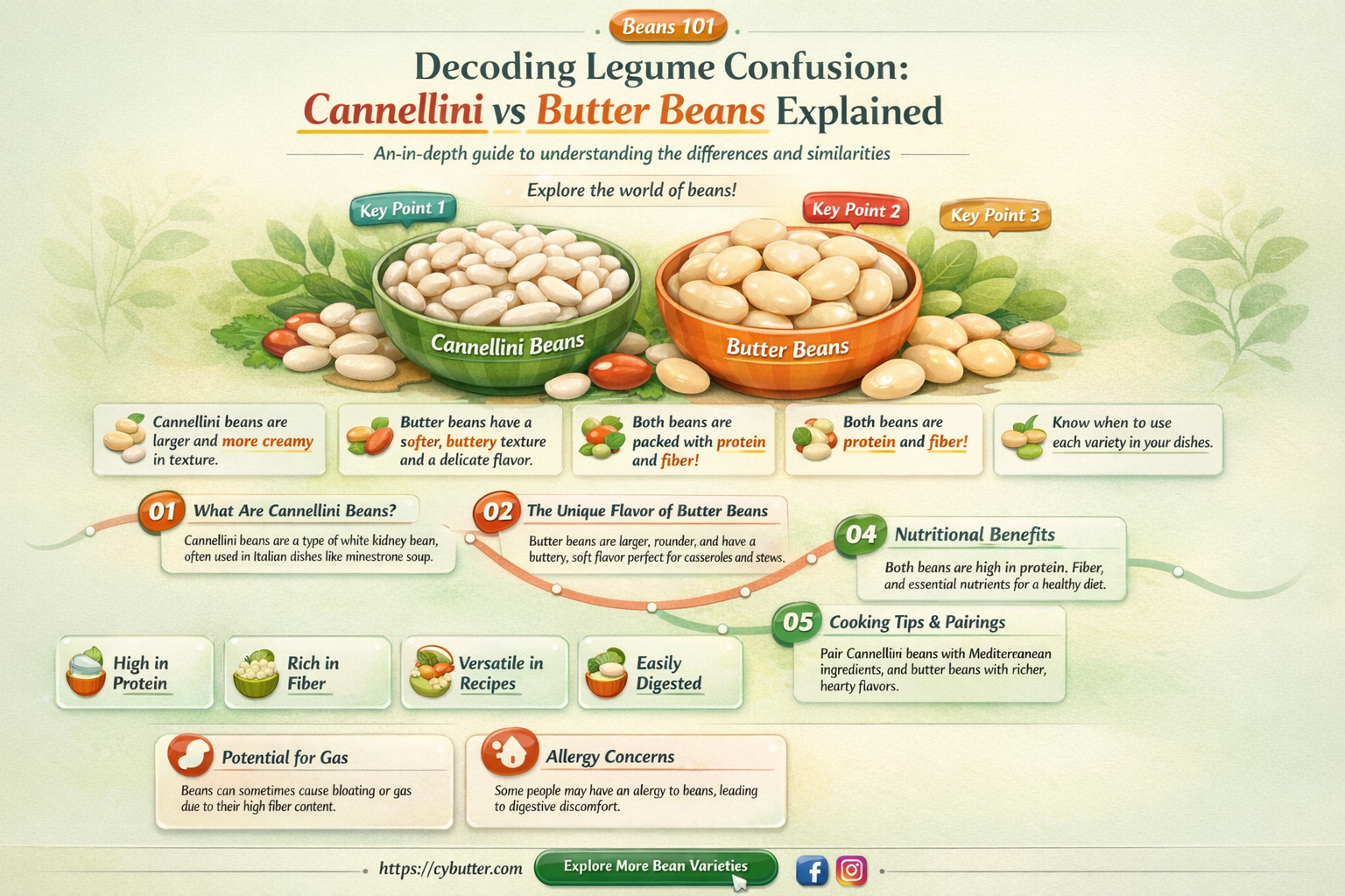 are cannellini the same as butter beans