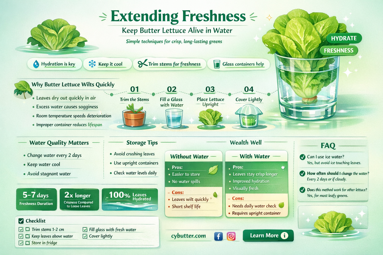 can you make living butter lettuce last longer in water