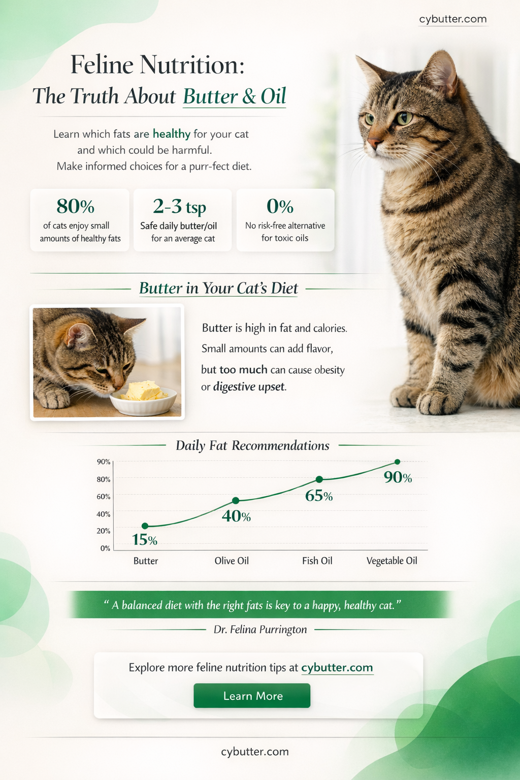 can i feed my cat butter or oil