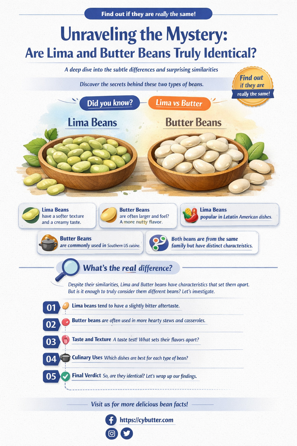 are lima and butter beans the same