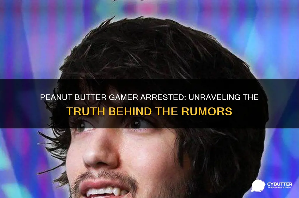did peanut butter gamer get arreted