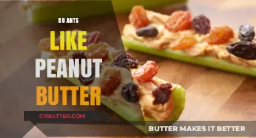 The Surprising Truth: Do Ants Really Like Peanut Butter?